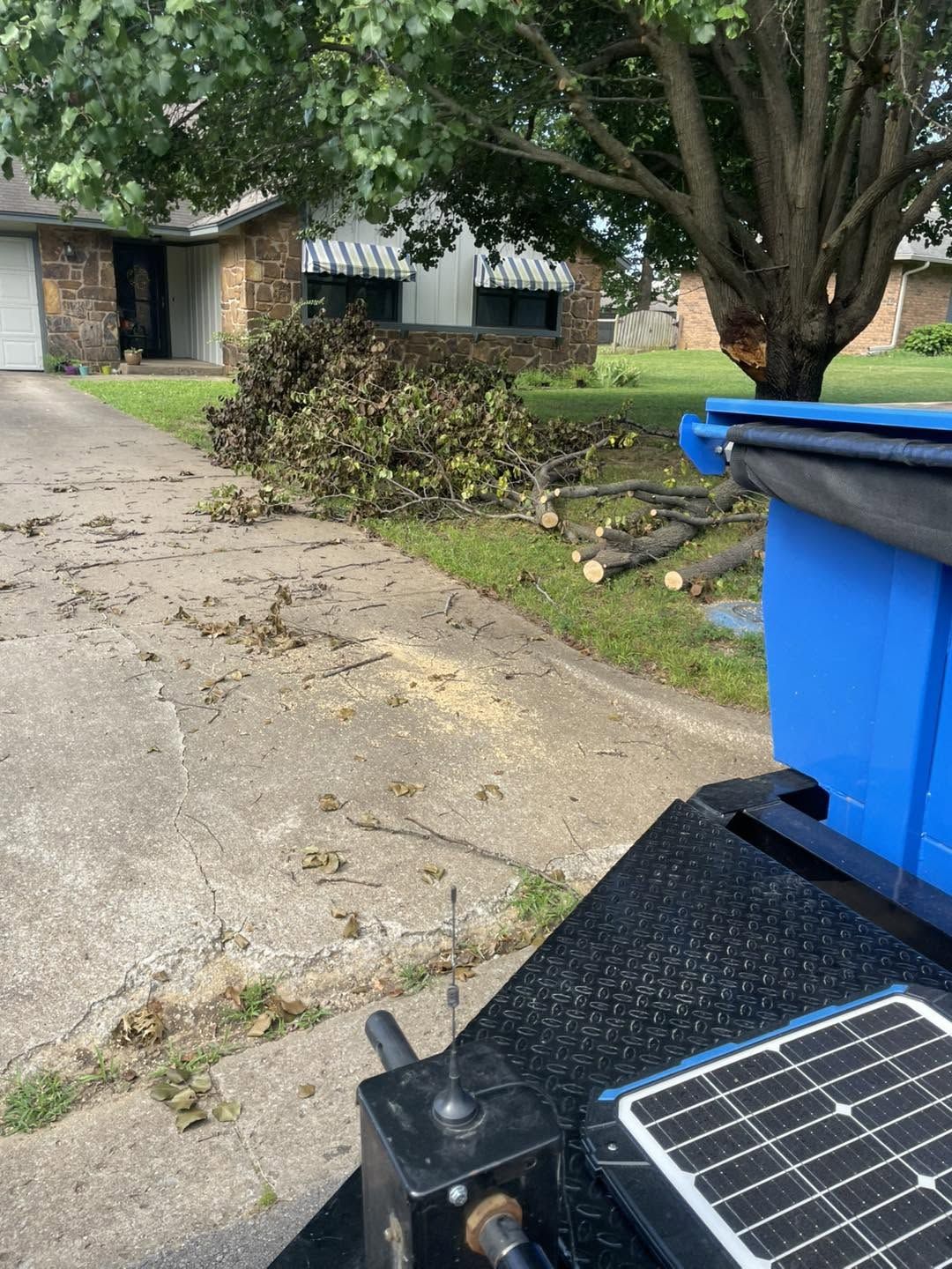 Affordable Tree Care gallery photo