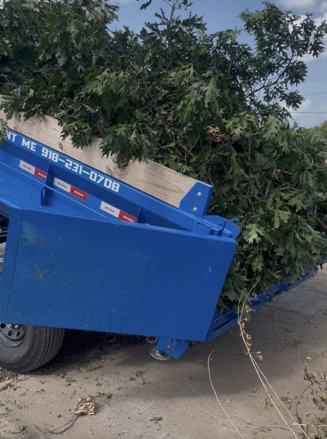 Affordable Tree Care gallery photo