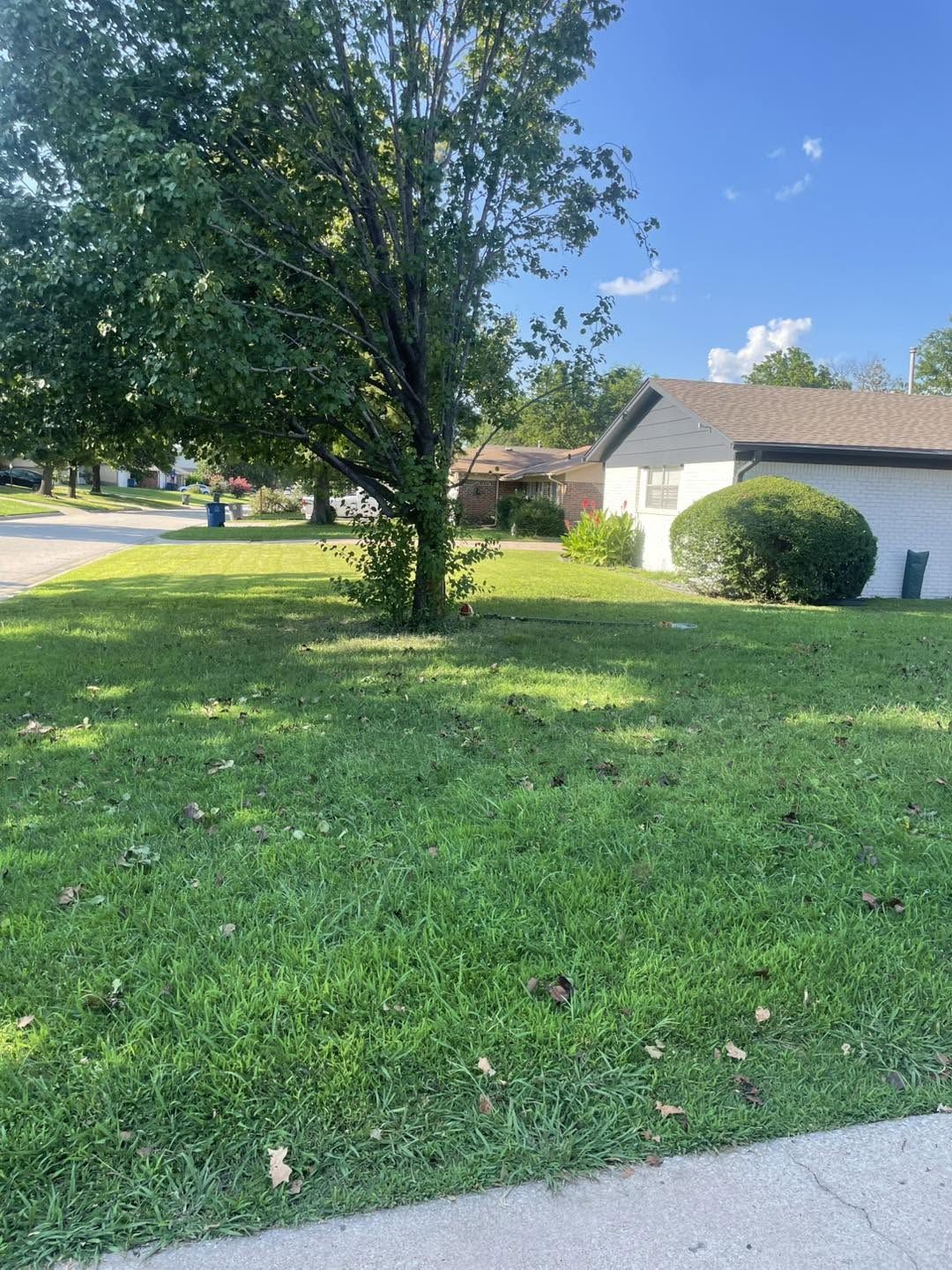 Affordable Tree Care gallery photo