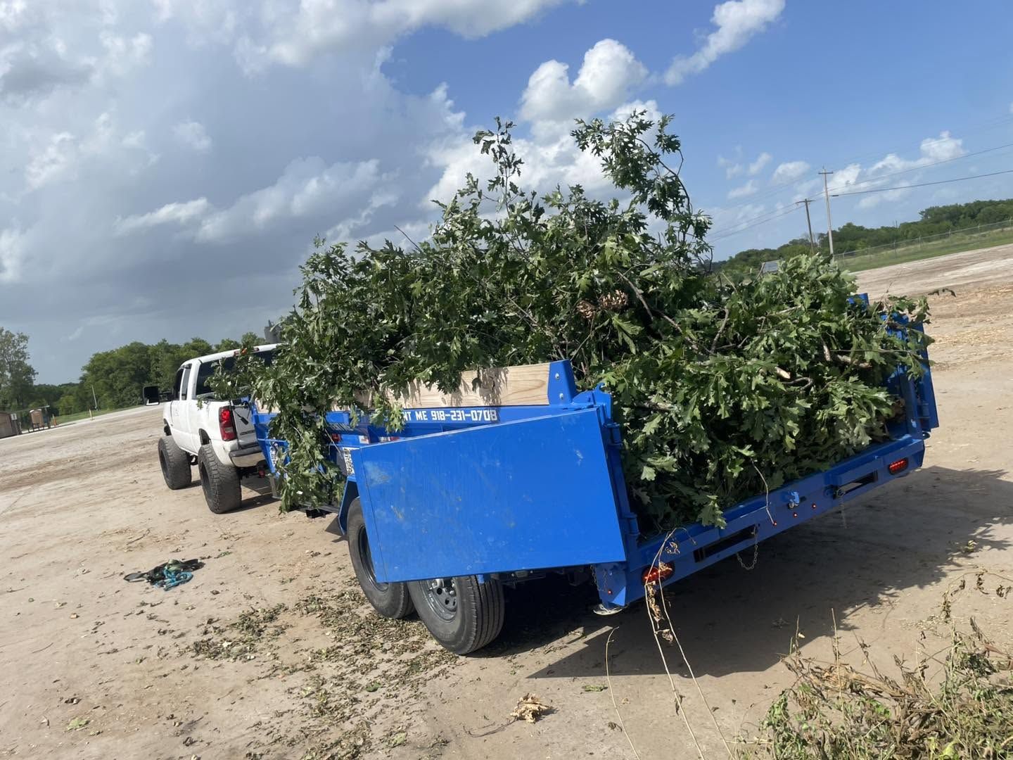 About Affordable Tree Care